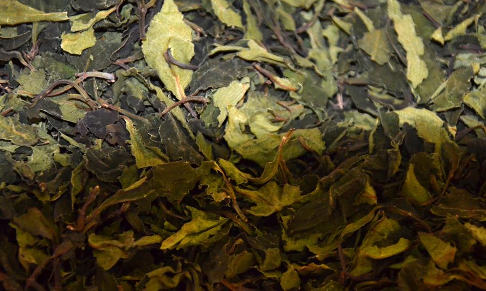 2019-1-21-739hlavní foto.jpg